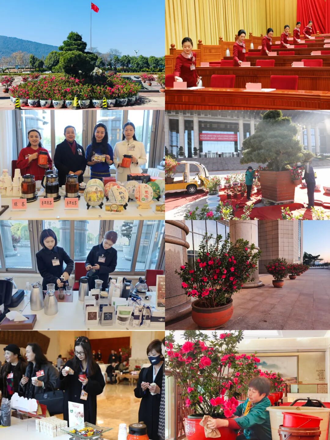 1772182176703088.jpg 33.jpg