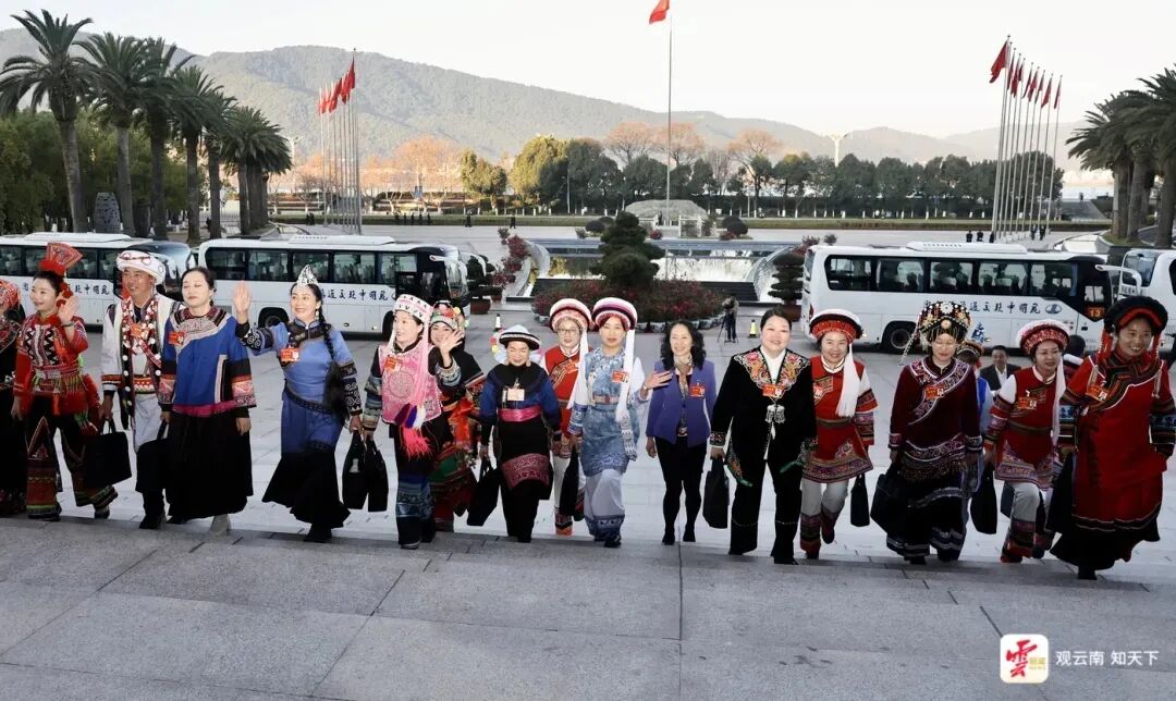 1772182248398959.jpg 55.jpg